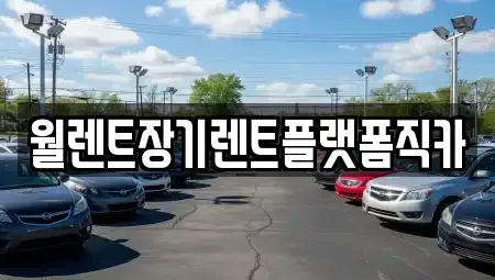 경기 화성시 송산동 장기렌트카 전문 월렌트장기렌트플랫폼직카