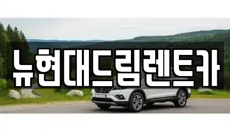 경기도 과천시 주암동 렌트카 전문 뉴현대드림렌트카