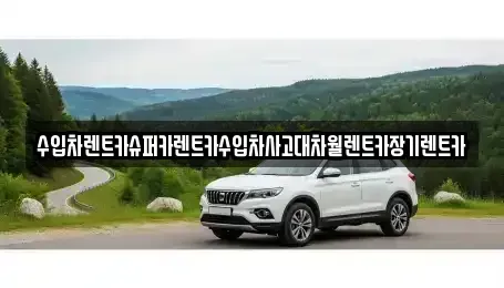 경기도 과천시 주암동 장기렌트카 전문 수입차렌트카슈퍼카렌트카수입차사고대차월렌트카장기렌트카