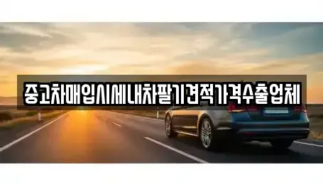 경기도 과천시 주암동 중고차 전문 중고차매입시세내차팔기견적가격수출업체