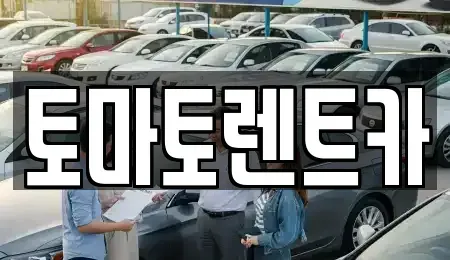경기도 성남시 분당구 대장동 렌트카 전문 토마토렌트카