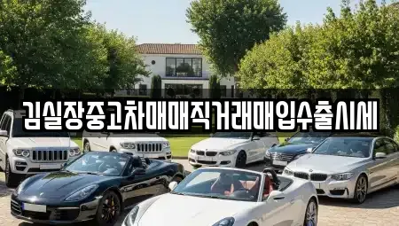 경기도 성남시 분당구 대장동 중고차,렌트카,중고차매입,중고차매매,장기렌트카,단기렌트카