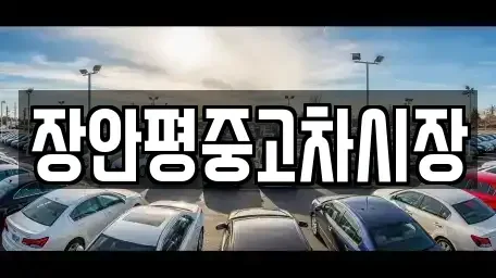 경기도 성남시 분당구 대장동 중고차 전문 장안평중고차시장