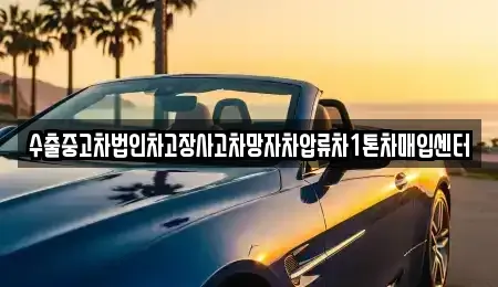 경기도 성남시 분당구 대장동 중고차매입 전문 수출중고차법인차고장사고차망자차압류차1톤차매입센터