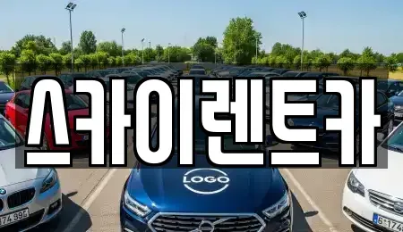 경기도 수원시 장안구 율전동 장기렌트카 전문 스카이렌트카