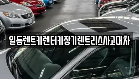 경기도 시흥시 물왕동 렌트카 전문 일등렌트카렌터카장기렌트리스사고대차
