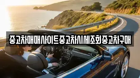 경기도 시흥시 물왕동 중고차 전문 중고차매매사이트중고차시세조회중고차구매