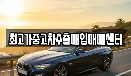 경기도 시흥시 물왕동 중고차매입 전문 최고가중고차수출매입매매센터
