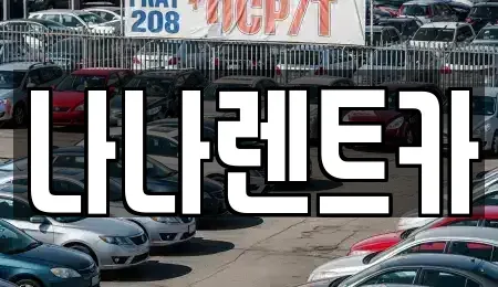 경기도 시흥시 장현동 렌트카 전문 나나렌트카