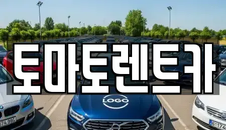 경기도 시흥시 장현동 렌트카 전문 토마토렌트카