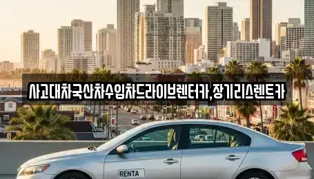 경기도 시흥시 장현동 장기렌트카 전문 사고대차국산차수입차드라이브렌터카,장기리스렌트카