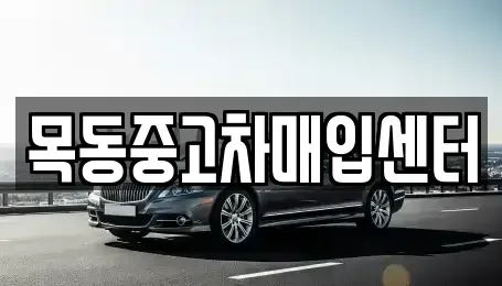 경기도 시흥시 장현동 중고차매매 전문 목동중고차매입센터