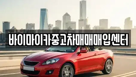 경기도 시흥시 장현동 중고차매매 전문 바이마이카중고차매매매입센터