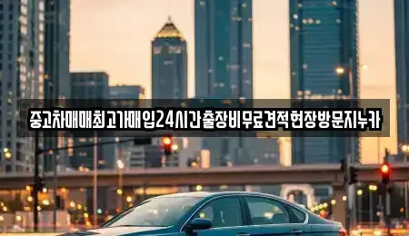 경기도 시흥시 장현동 중고차매입 전문 중고차매매최고가매입24시간출장비무료견적현장방문지누카