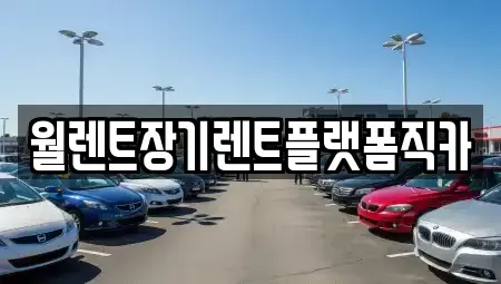 경기도 안성시 서운면 렌트카,단기렌트카,장기렌트카,중고차,중고차매매,중고차매입