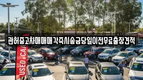 경기도 안성시 서운면 중고차 전문 관허중고차매매매각즉시송금당일이전무료출장견적