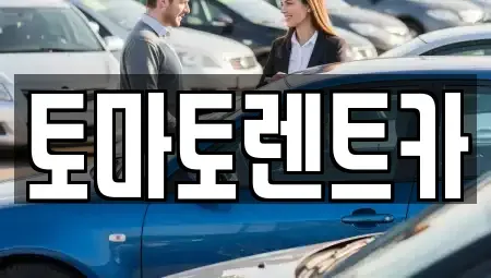 경기도 안성시 아양동 렌트카 전문 토마토렌트카