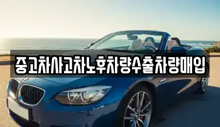 경기도 안성시 아양동 중고차매매 전문 중고차사고차노후차량수출차량매입