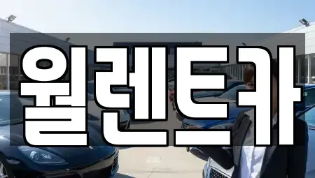 경기도 여주시 세종대왕면 렌트카 전문 월렌트카