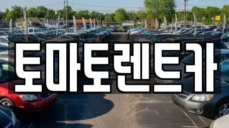 경기도 여주시 세종대왕면 렌트카 전문 토마토렌트카