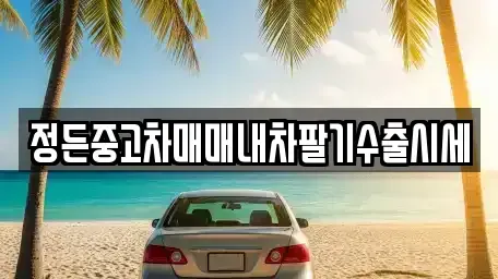 경기도 여주시 세종대왕면 중고차 전문 정든중고차매매내차팔기수출시세