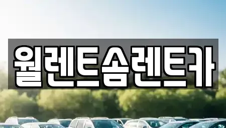 경기도 이천시 호법면 렌트카 전문 월렌트솜렌트카