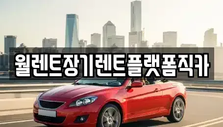 경기도 이천시 호법면 렌트카 전문 월렌트장기렌트플랫폼직카