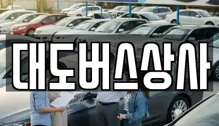 경기도 이천시 호법면 중고차매매 전문 대도버스상사