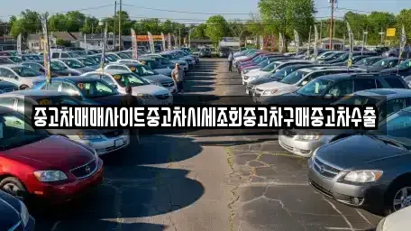 경기도 이천시 호법면 중고차매매 전문 중고차매매사이트중고차시세조회중고차구매중고차수출