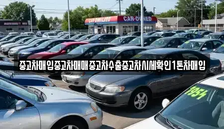 경기도 이천시 호법면 중고차매입 전문 중고차매입중고차매매중고차수출중고차시세확인1톤차매입