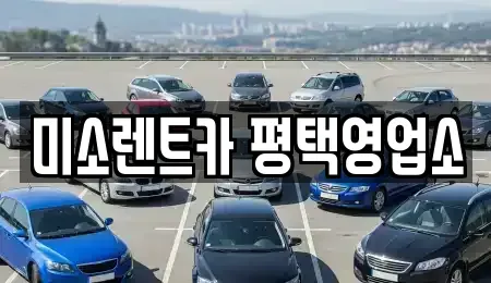 경기도 평택시 월곡동 렌트카,단기렌트카,장기렌트카,중고차,중고차매매,중고차매입