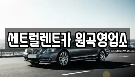 경기도 평택시 월곡동 렌트카 전문 센트럴렌트카 원곡영업소