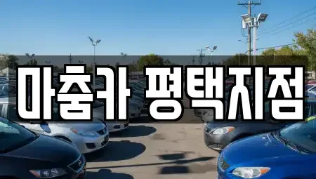 경기도 평택시 지산동 렌트카 전문 마춤카 평택지점