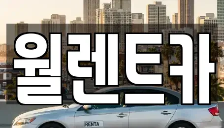 경기도 평택시 지산동 렌트카 전문 월렌트카