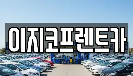 경기도 평택시 지산동 렌트카 전문 이지코프렌트카
