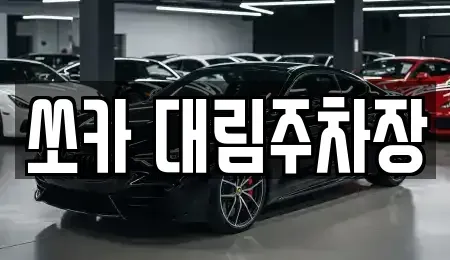 경기도 포천시 군내면 렌트카 전문 쏘카 대림주차장