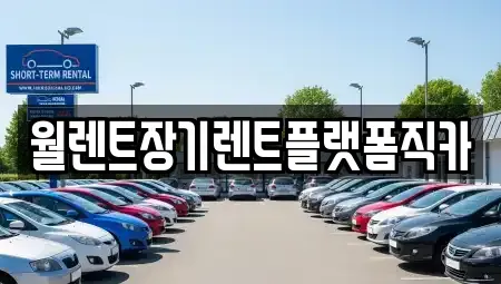 경기도 포천시 군내면 렌트카 전문 월렌트장기렌트플랫폼직카