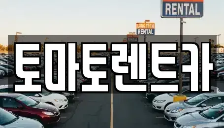 경기도 포천시 군내면 렌트카 전문 토마토렌트카