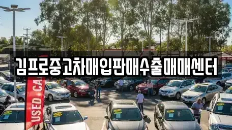 경북 상주시 무양동 중고차 전문 김프로중고차매입판매수출매매센터