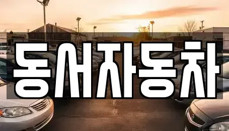 경상남도 고성군 동해면 중고차 전문 동서자동차