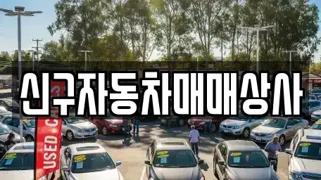 경상남도 사천시 곤명면 중고차 전문 신구자동차매매상사