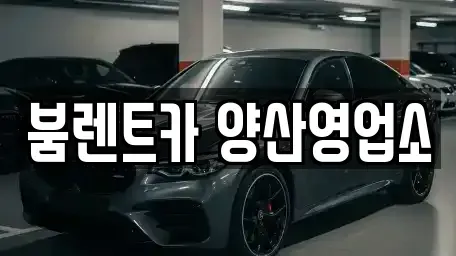 경상남도 양산시 교동 렌트카 전문 붐렌트카 양산영업소