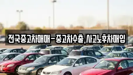 경상남도 양산시 교동 중고차 전문 전국중고차매매-중고차수출,사고노후차매입