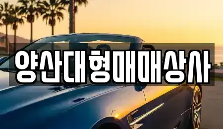 경상남도 양산시 원동면 중고차매매 전문 양산대형매매상사