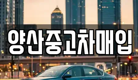 경상남도 양산시 원동면 중고차매입 전문 양산중고차매입