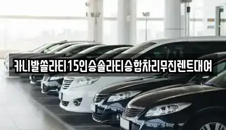경상남도 창원시 마산합포구 장군동1가 렌트카 전문 카니발쏠라티15인승솔라티승합차리무진렌트대여