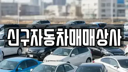 경상남도 창원시 마산합포구 장군동1가 중고차 전문 신구자동차매매상사