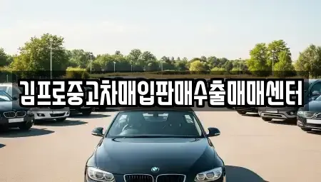경상남도 창원시 마산합포구 장군동1가 중고차매입 전문 김프로중고차매입판매수출매매센터