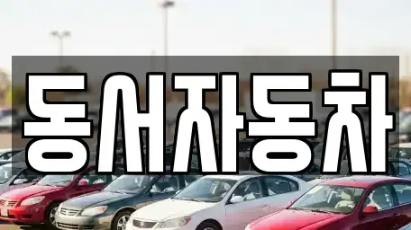 경상남도 창원시 마산합포구 청계동 중고차매매 전문 동서자동차