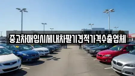 경상남도 창원시 마산회원구 합성동 중고차 전문 중고차매입시세내차팔기견적가격수출업체